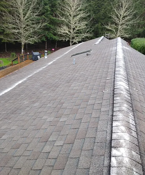 Roof Cleaning in Raymond 